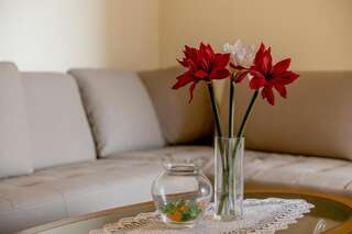 Апартаменты Beko Stan 2 Херцег-Нови Апартаменты с 1 спальней-51