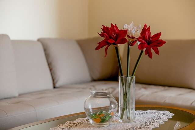 Апартаменты Beko Stan 2 Херцег-Нови-11